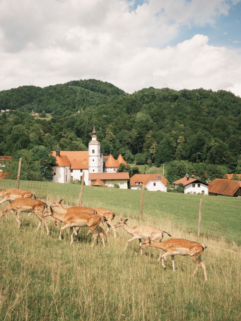 Zagorje Tour from Zagreb